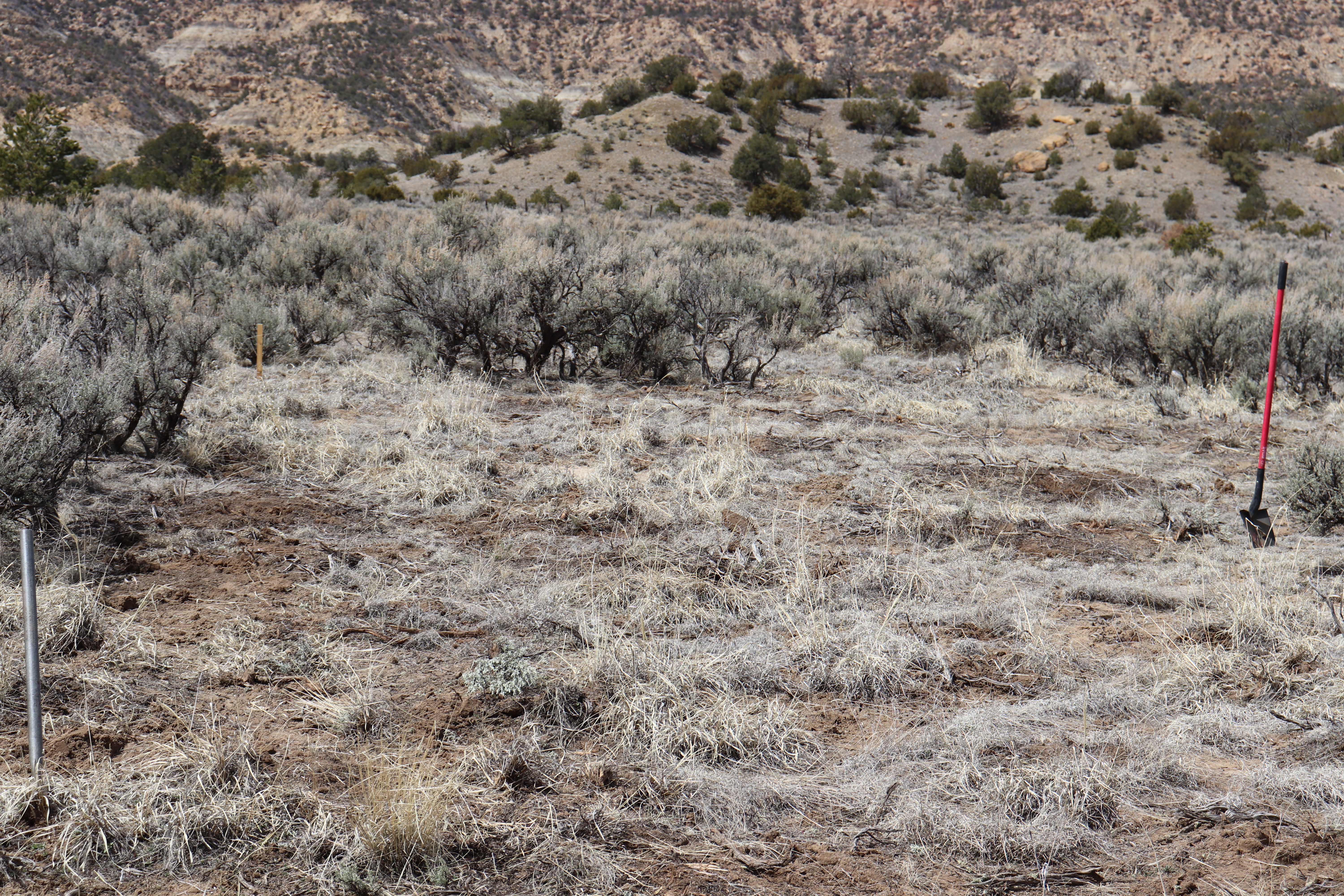 southeastern view of property