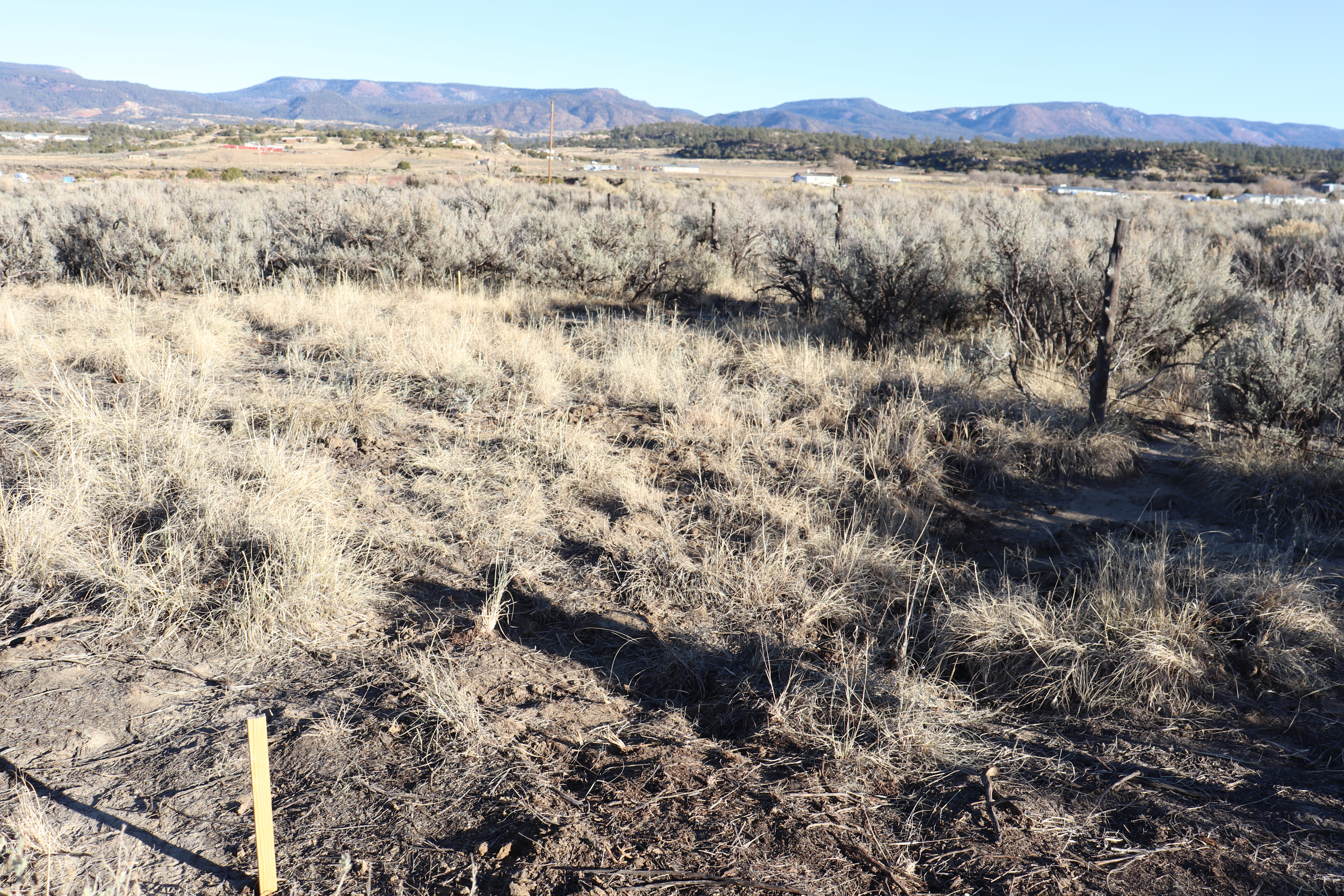 south-eastern view of cleared garden bed area